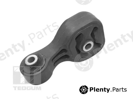 Tedgum TED16219 — Mounting, engine