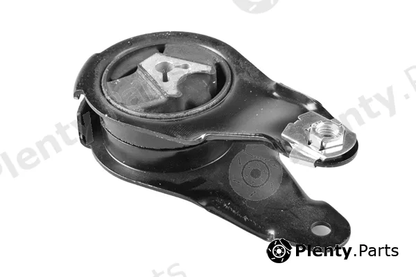 Tedgum TED42422 — Mounting, engine