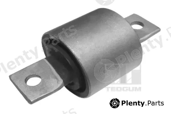 Tedgum 00020861 — Mounting, control/trailing arm
