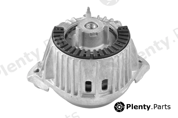 Tedgum TED99086 — Mounting, engine