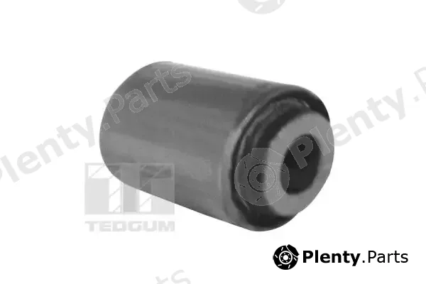 Tedgum 00678896 — Mounting, control/trailing arm