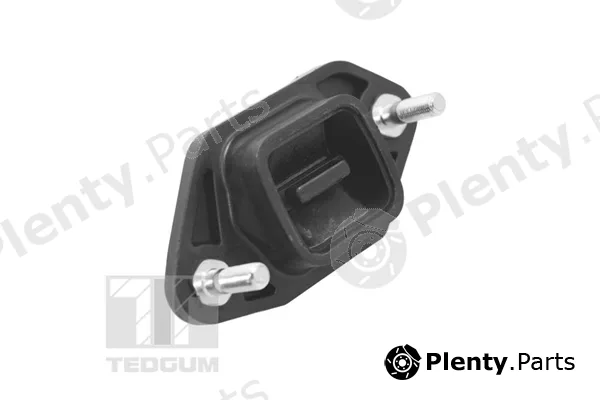 Tedgum TED14845 — Mounting, engine