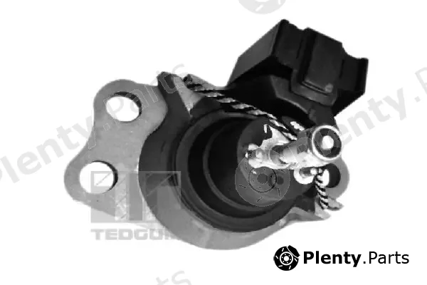 Tedgum 00586865 — Mounting, engine