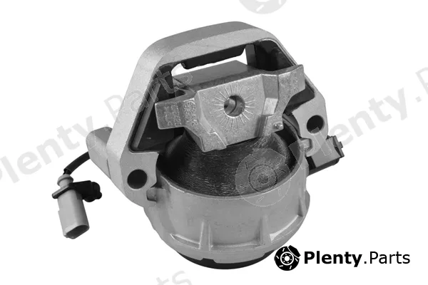 Tedgum TED93380 — Mounting, engine