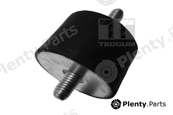 Tedgum 00082272 — Mounting, engine