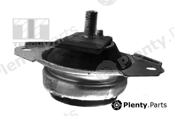 Tedgum 00371407 — Mounting, engine