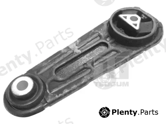 Tedgum 00586572 — Mounting, engine