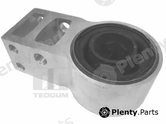 Tedgum 00024602 — Mounting, control/trailing arm