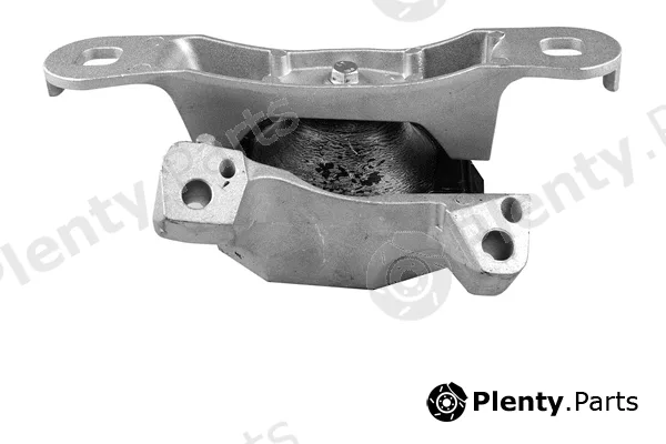 Tedgum TED98346 — Mounting, engine