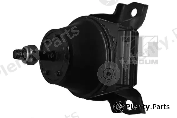 Tedgum 00398245 — Mounting, engine