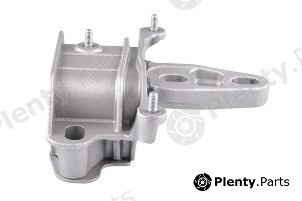 Tedgum TED58916 — Mounting, engine