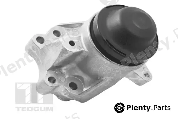 Tedgum TED17586 — Mounting, engine