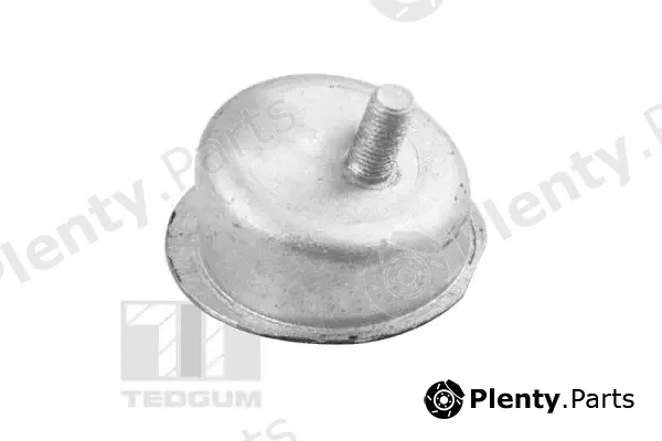 Tedgum TED43629 — Mounting, engine