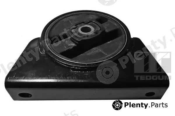 Tedgum 00128009 — Mounting, engine