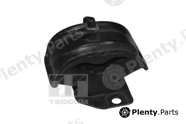 Tedgum 00261924 — Mounting, engine