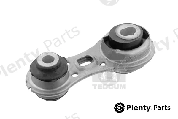 Tedgum 00584589 — Mounting, engine