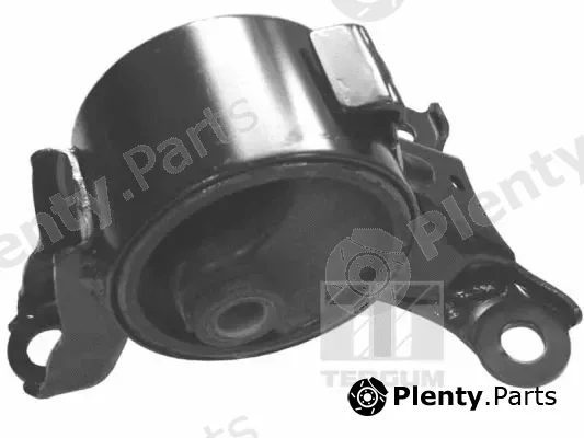 Tedgum 00264829 — Mounting, engine