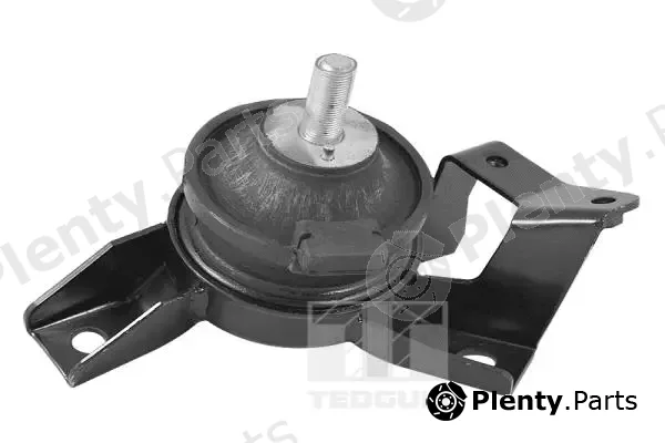 Tedgum 00282119 — Mounting, engine
