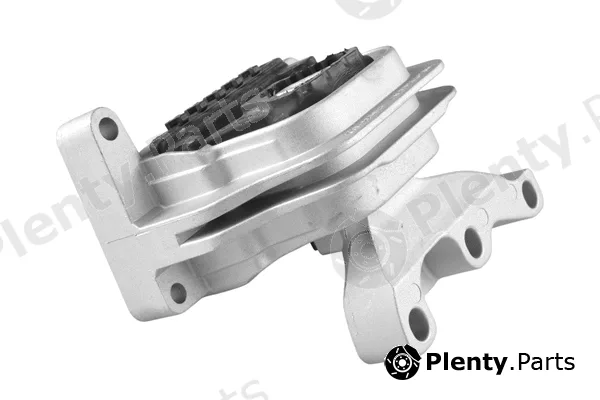 Tedgum TED41593 — Mounting, engine