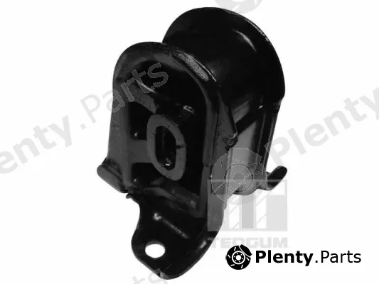 Tedgum 00265827 — Mounting, engine
