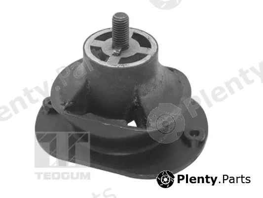 Tedgum TED40521 — Mounting, engine