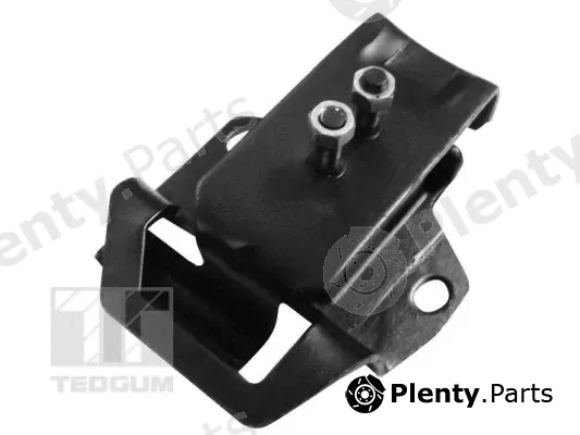 Tedgum 00300649 — Mounting, engine