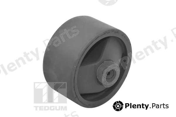 Tedgum 00679672 — Mounting, engine