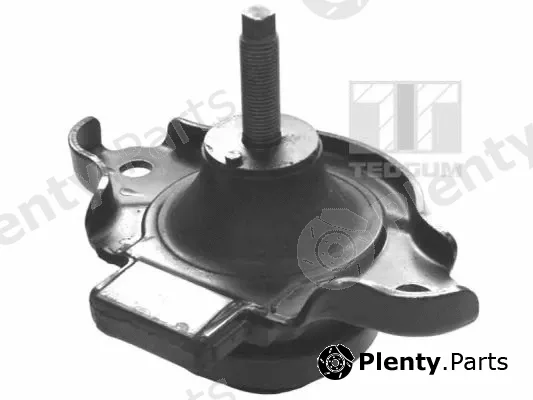 Tedgum 00264810 — Mounting, engine
