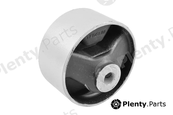 Tedgum 00674330 — Mounting, engine