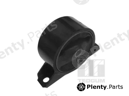 Tedgum 00748642 — Mounting, engine