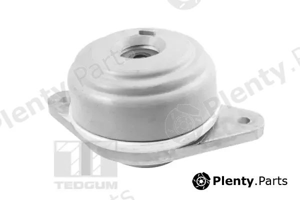 Tedgum TED37501 — Mounting, engine