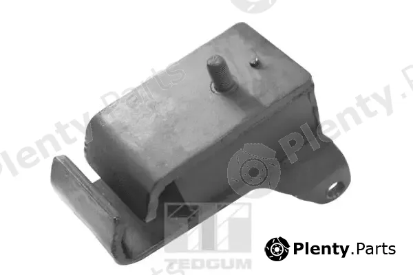 Tedgum 00465543 — Mounting, engine