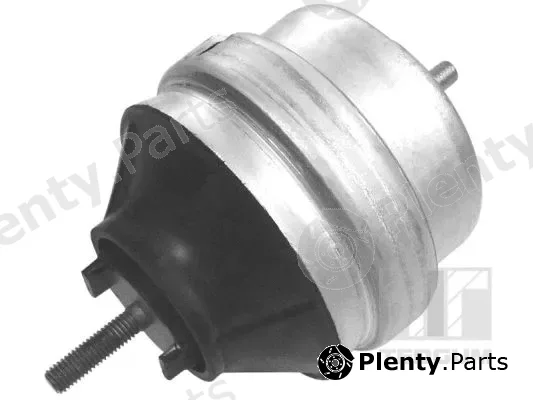 Tedgum 00726440 — Mounting, engine