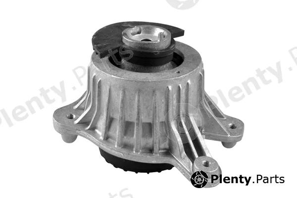 Tedgum TED84941 — Mounting, engine