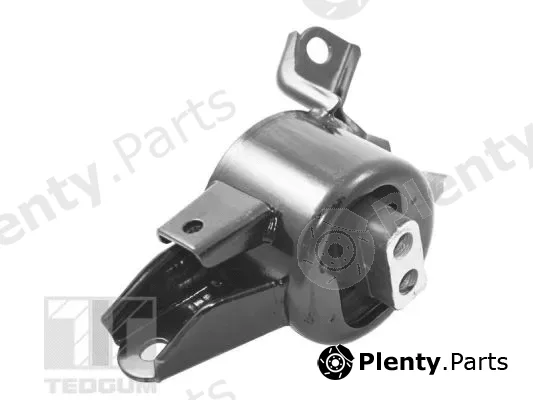 Tedgum TED34809 — Mounting, engine