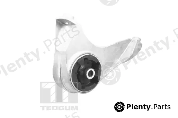 Tedgum TED37880 — Mounting, engine