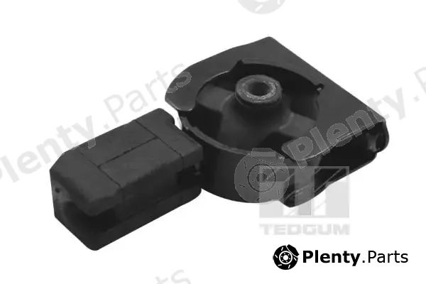 Tedgum 00672166 — Mounting, engine