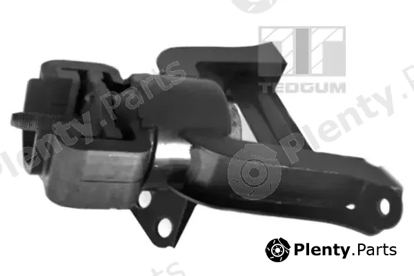 Tedgum 00391636 — Mounting, engine