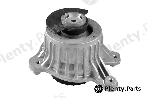 Tedgum TED51911 — Mounting, engine