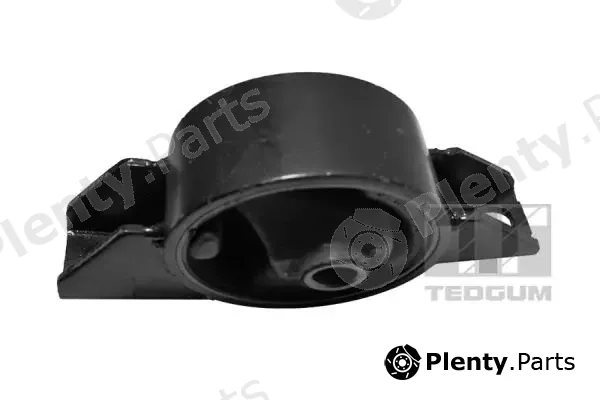 Tedgum 00462511 — Mounting, engine