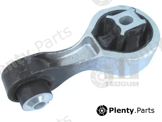 Tedgum 00507121 — Mounting, engine