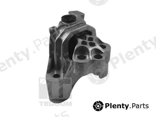 Tedgum TED57083 — Mounting, engine