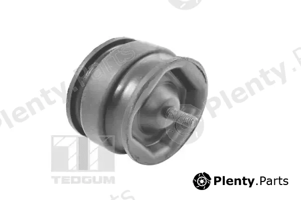 Tedgum 00221175 — Mounting, engine