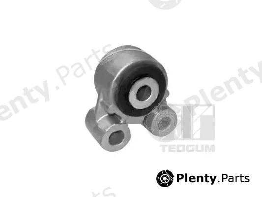 Tedgum 00228461 — Mounting, engine