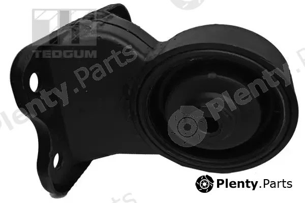 Tedgum 00280066 — Mounting, engine