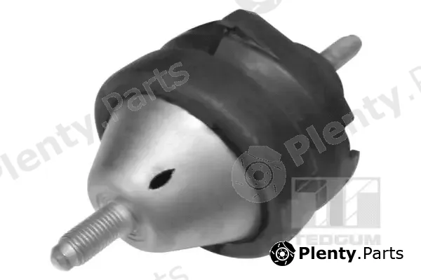 Tedgum 01296915 — Mounting, engine