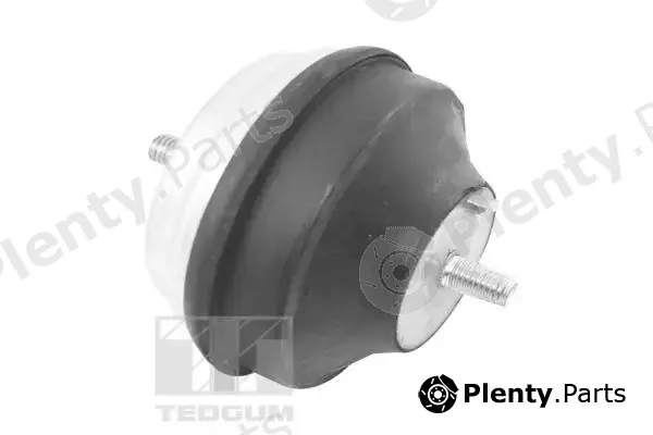 Tedgum 00504650 — Mounting, engine