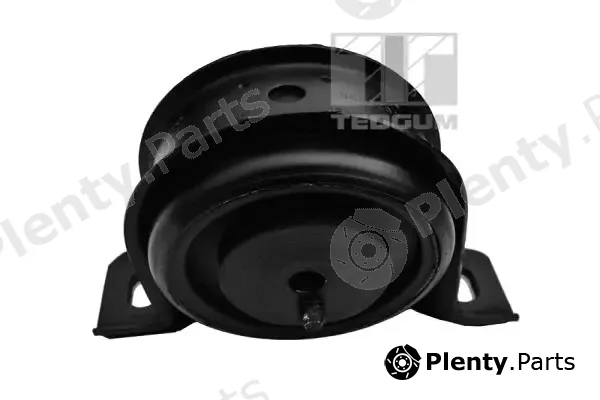 Tedgum 00617261 — Mounting, automatic transmission support