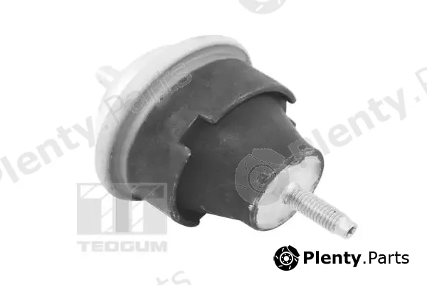 Tedgum 00243994 — Mounting, engine