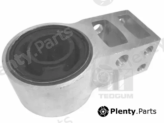Tedgum 00024581 — Mounting, control/trailing arm